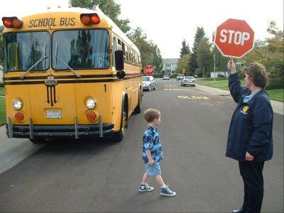 bus school california escort transportation light red program district vehicle code chp sbf safety stop farm sequoia union driver